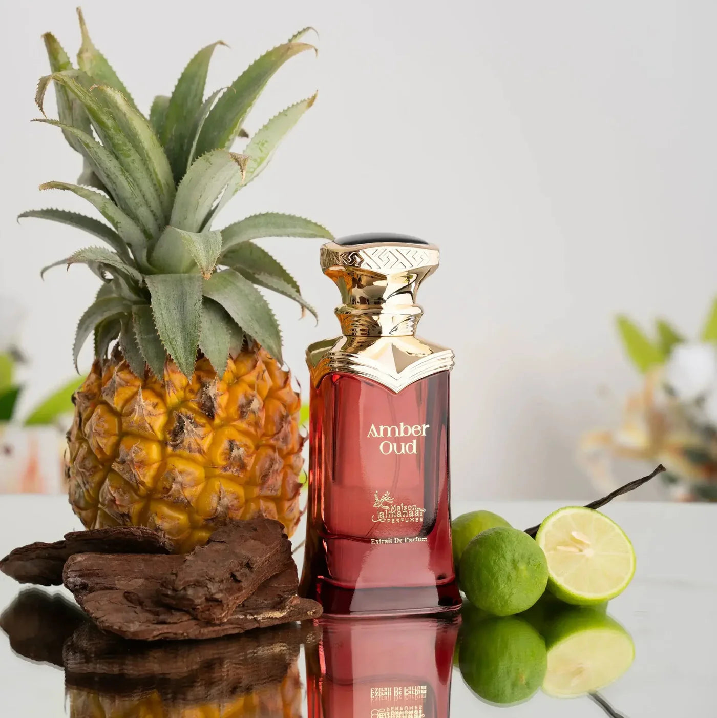 Amber Oud Extrait De Parfum 90ml by Maison Almanaar