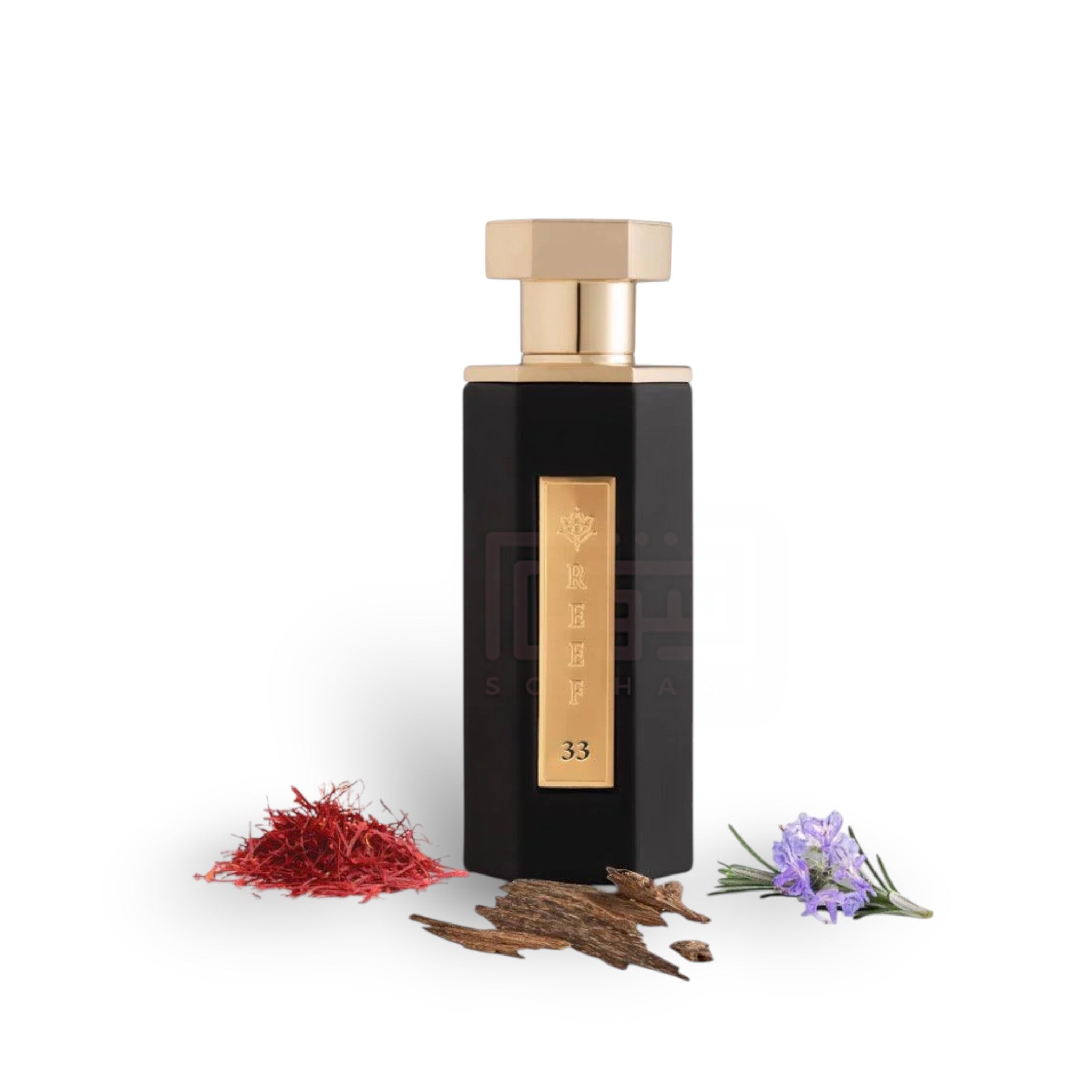 ReeF 33 EDP 100ml Perfume By Reef