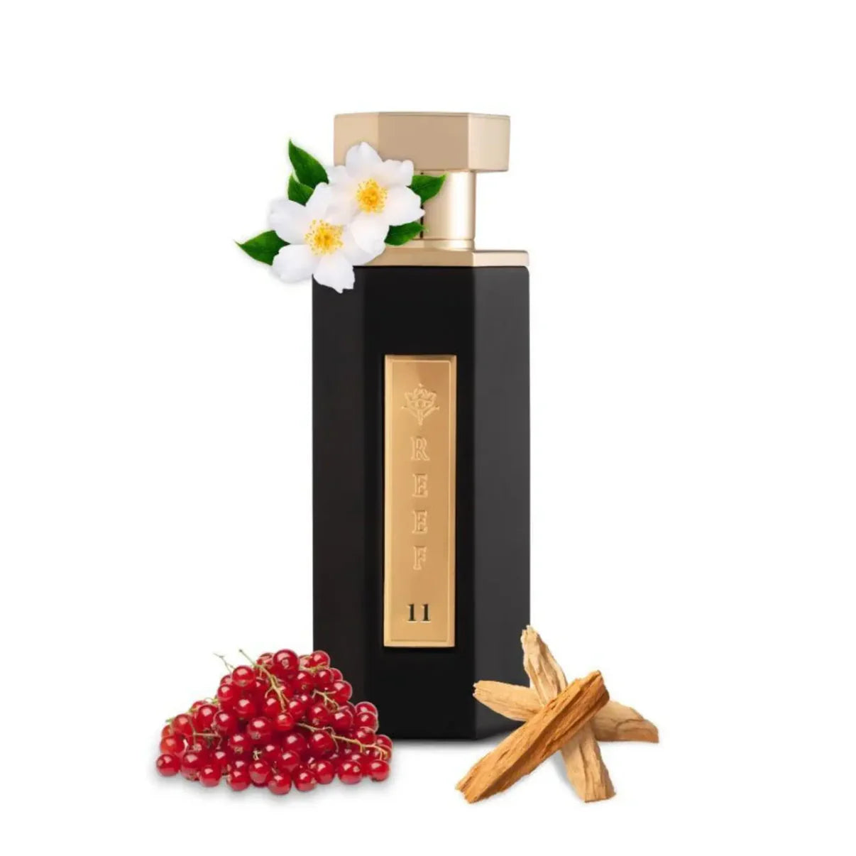 Reef 11 100ml by Reef Perfumes