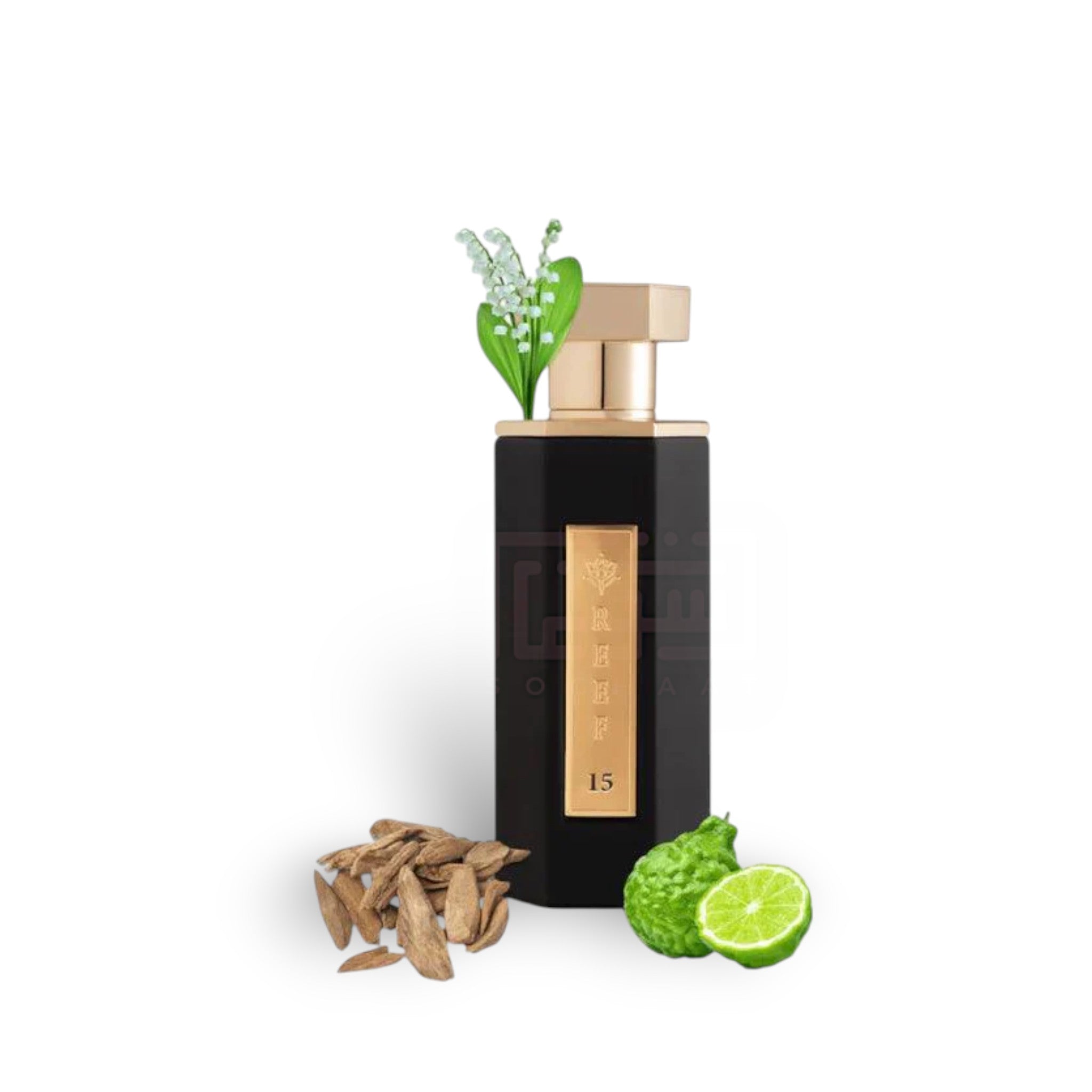 Reef 15 EDP 100ml Perfume By Reef